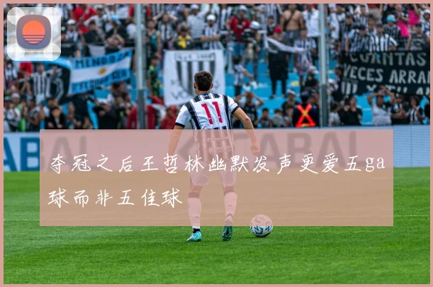 夺冠之后王哲林幽默发声更爱五ga球而非五佳球