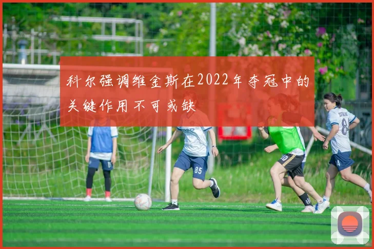 科尔强调维金斯在2022年夺冠中的关键作用不可或缺