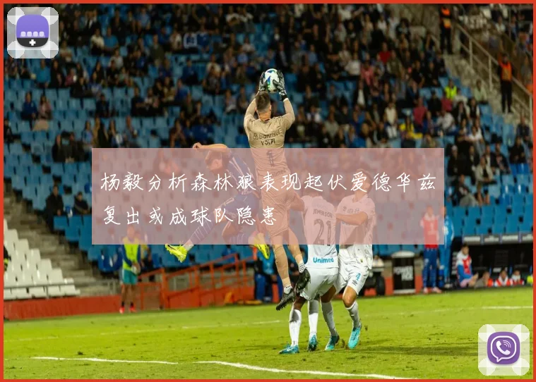 杨毅分析森林狼表现起伏爱德华兹复出或成球队隐患